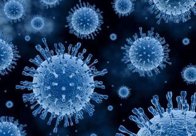 2025021217333529.jpg R.jpg